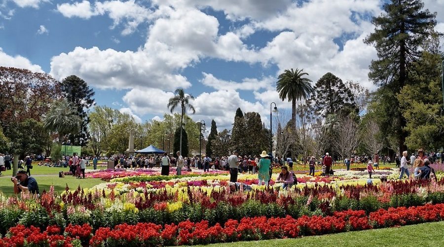 10 Day Toowoomba Carnival Of Flowers & O’Reilly’s Retreat