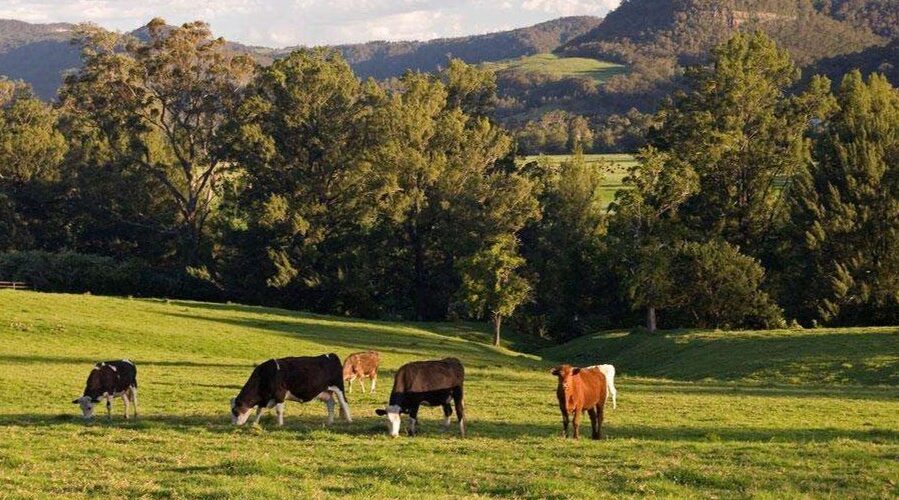 Kangaroo Valley and Fitzroy Falls