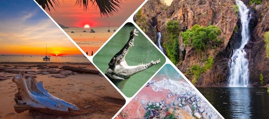 Top End Discovery: Darwin Experience