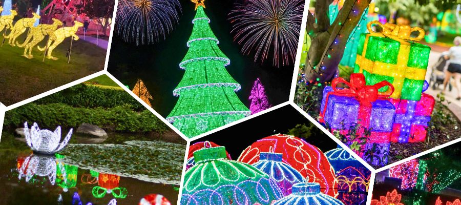 Twinkling Lights and Tastes of the Hunter Valley