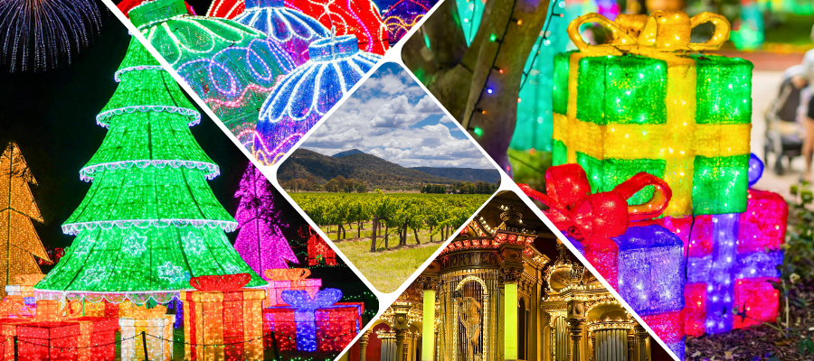 Twinkling Lights and Tastes of the Hunter Valley