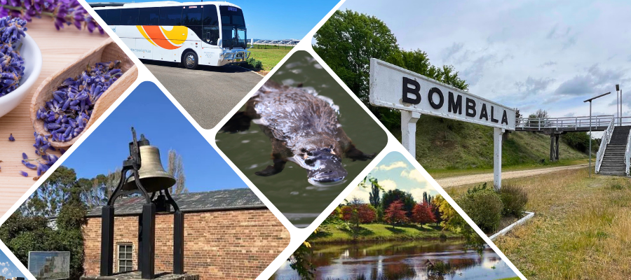 Bombala: Platypus Country