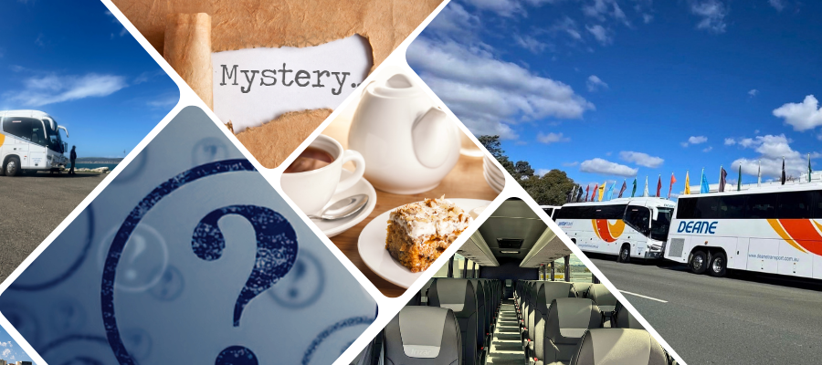 Members Mystery Day Out
